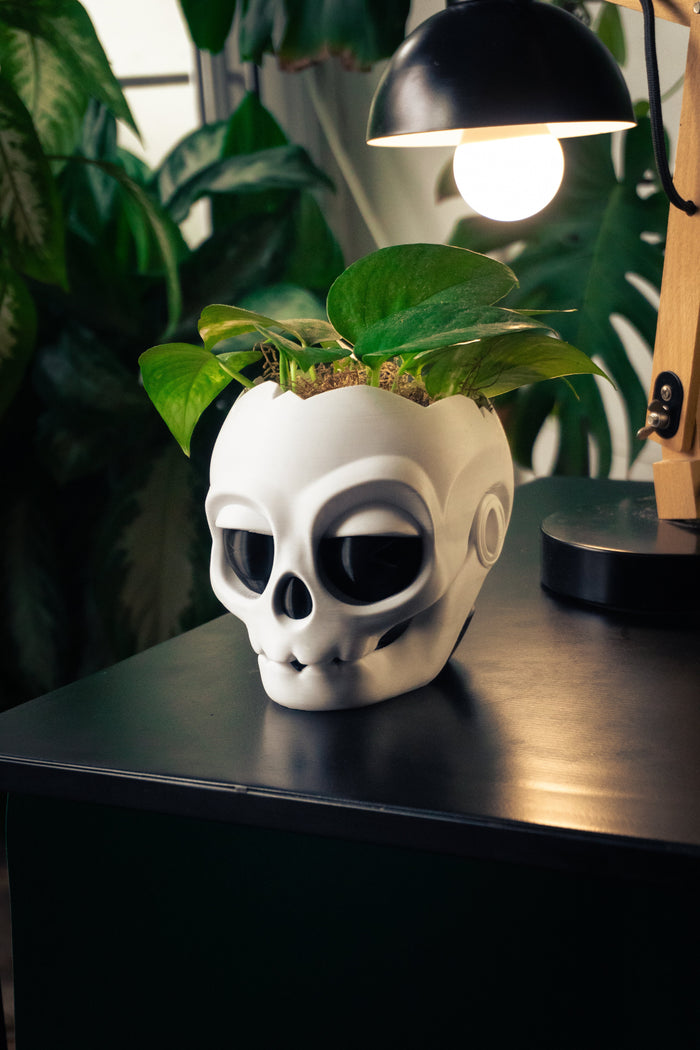 Maceta Calavera 3D