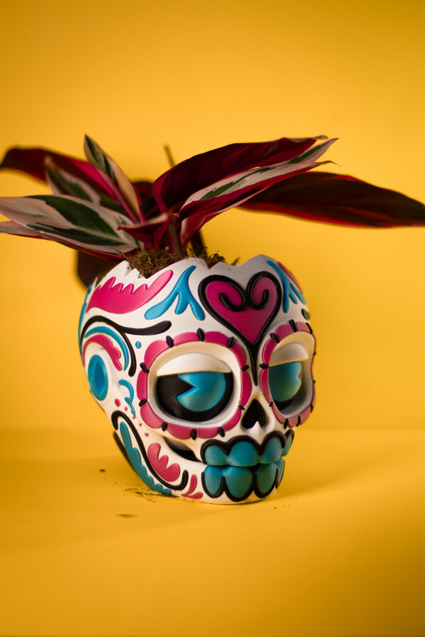 Maceta calavera mexicana catrina 3D - vista principal
