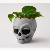 Maceta calavera 3D gris piedra