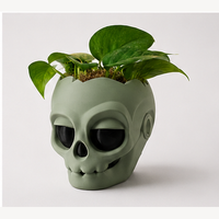 Maceta calavera 3D verde salvia